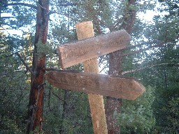 On the Trail in Turkey Creek Canyon Trail going to Upper Dean